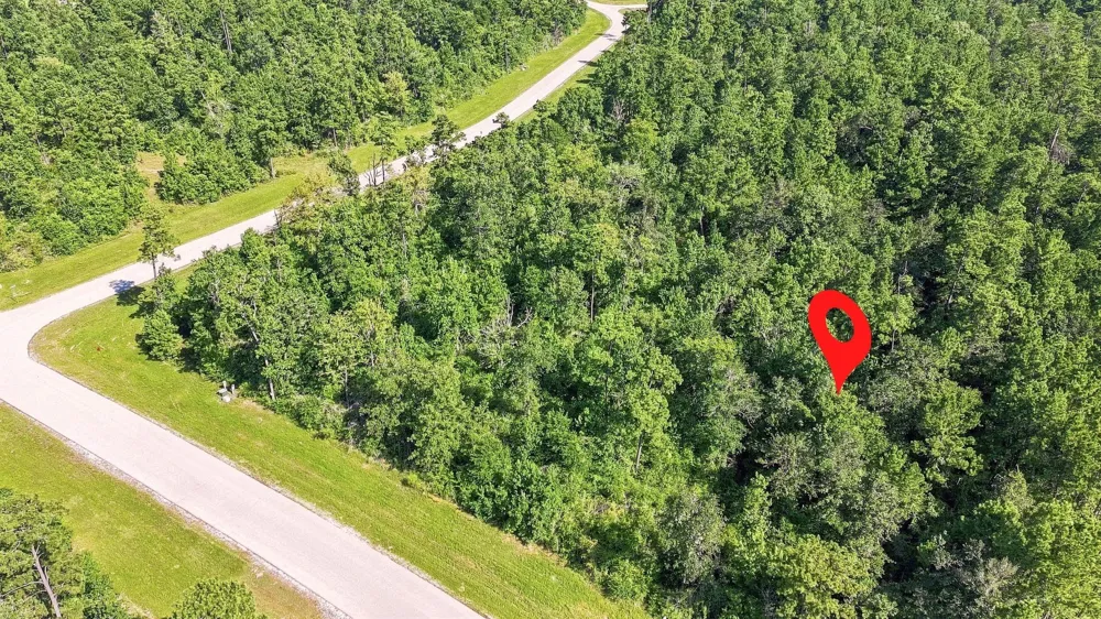 294 Iron Horse Road Willis, TX 77378
