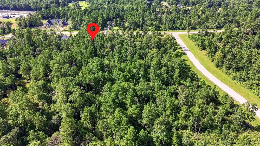 294 Iron Horse Road Willis, TX 77378
