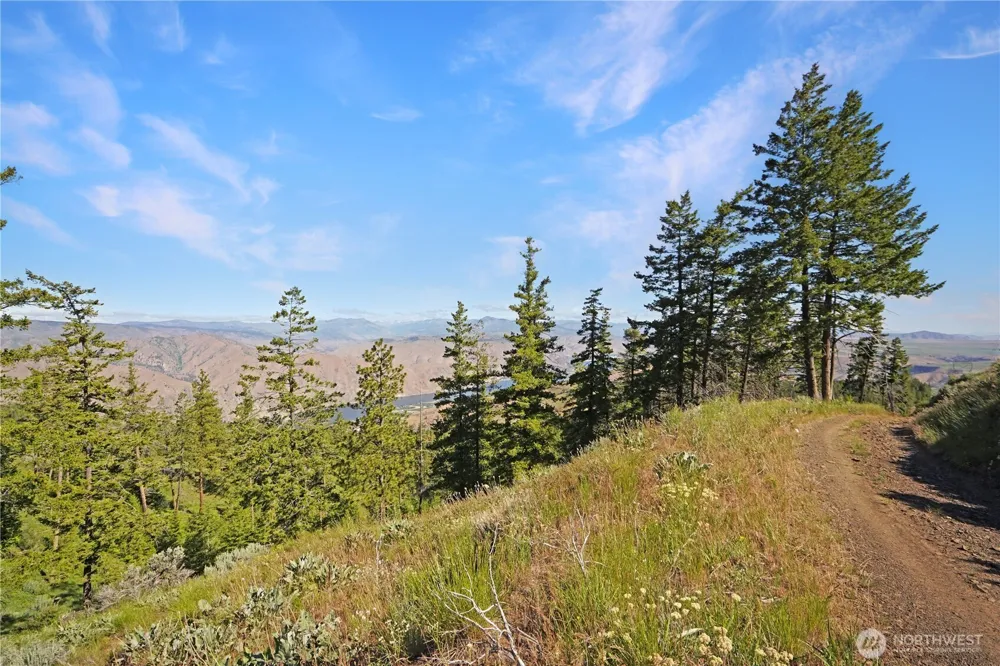 0 Melvin Road Waterville, WA 98858