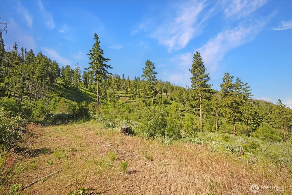 0 Melvin Road Waterville, WA 98858