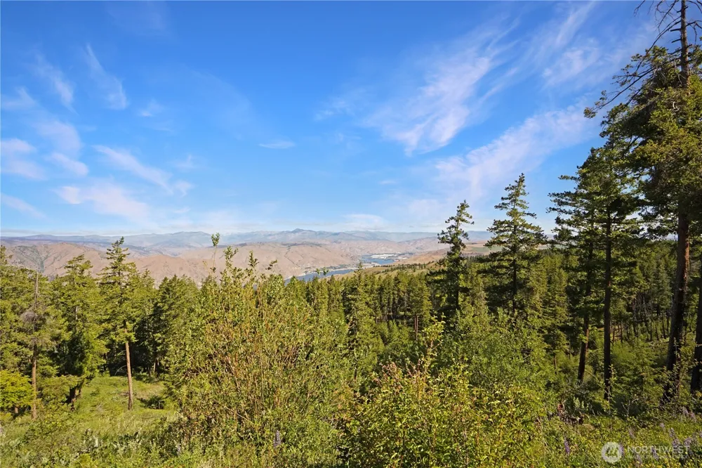 0 Melvin Road Waterville, WA 98858