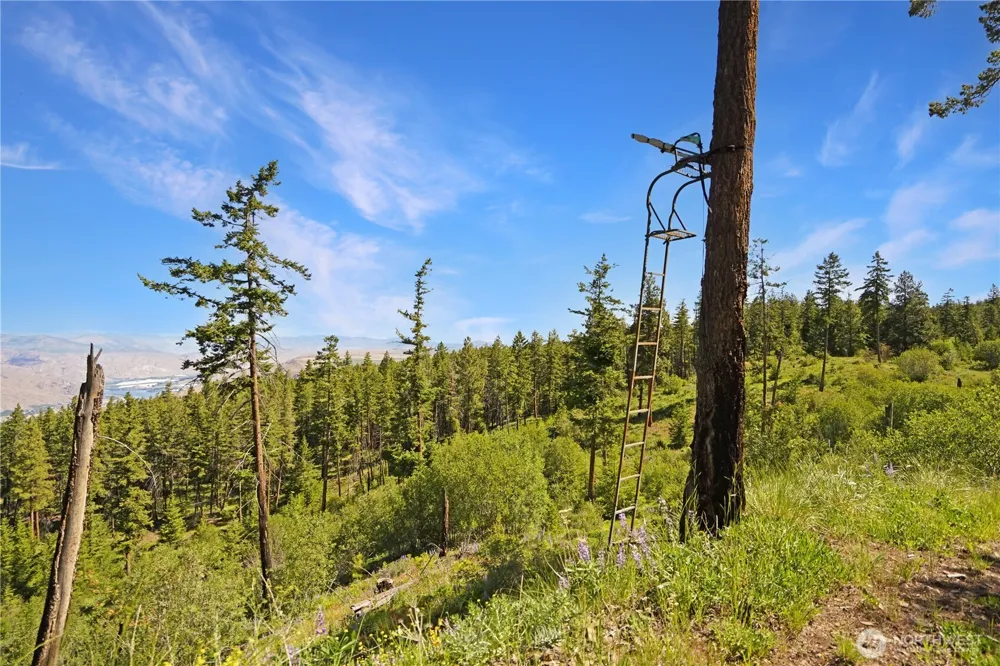 0 Melvin Road Waterville, WA 98858