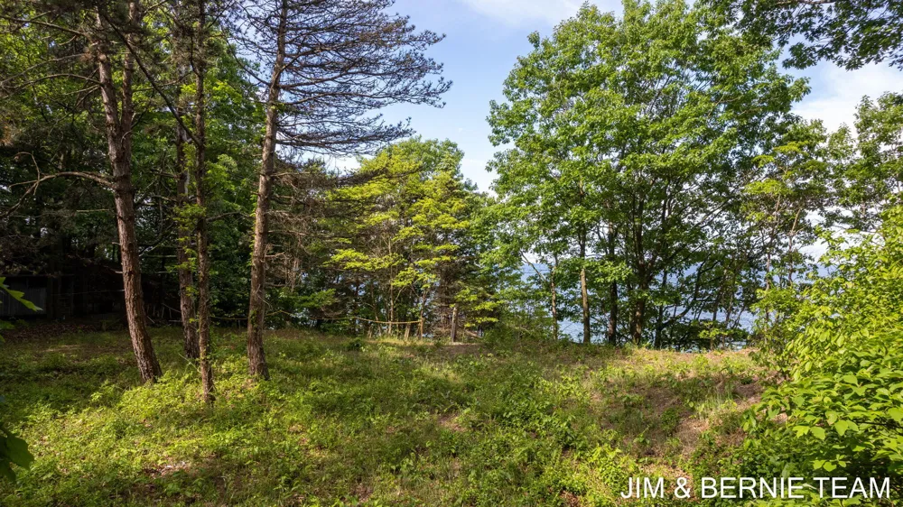 Hillside Trail Holland, MI 49423