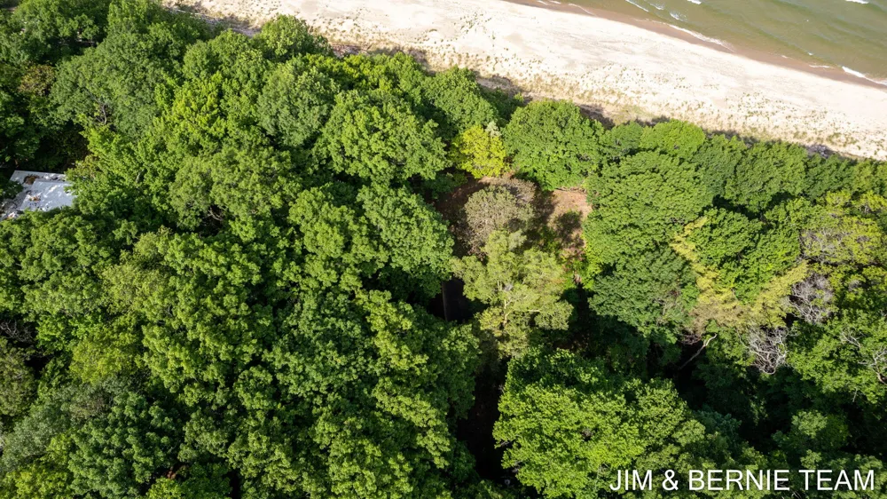 Hillside Trail Holland, MI 49423