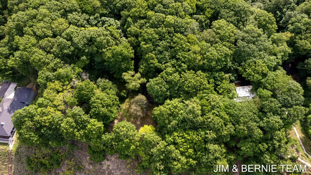 Hillside Trail Holland, MI 49423