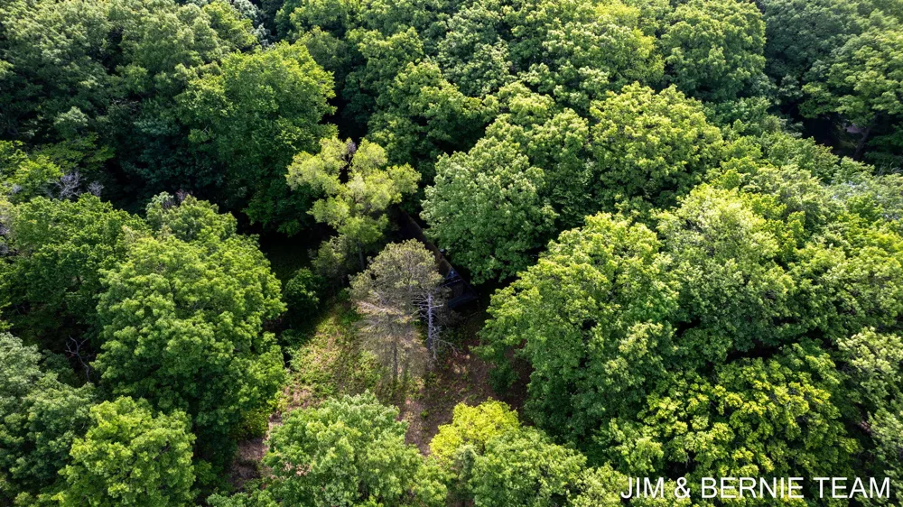 Hillside Trail Holland, MI 49423