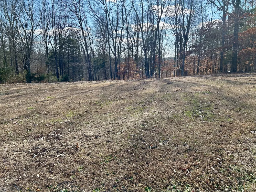 0 Stones Bend Lynchburg, TN 37352