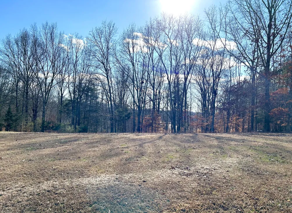 0 Stones Bend Lynchburg, TN 37352
