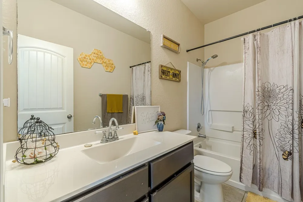 479 Willow Arch New Braunfels, TX 78130