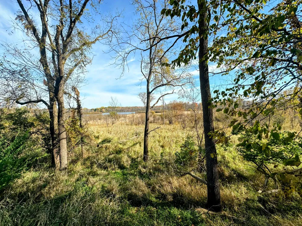 S Jackson Road Jackson, MI 49201
