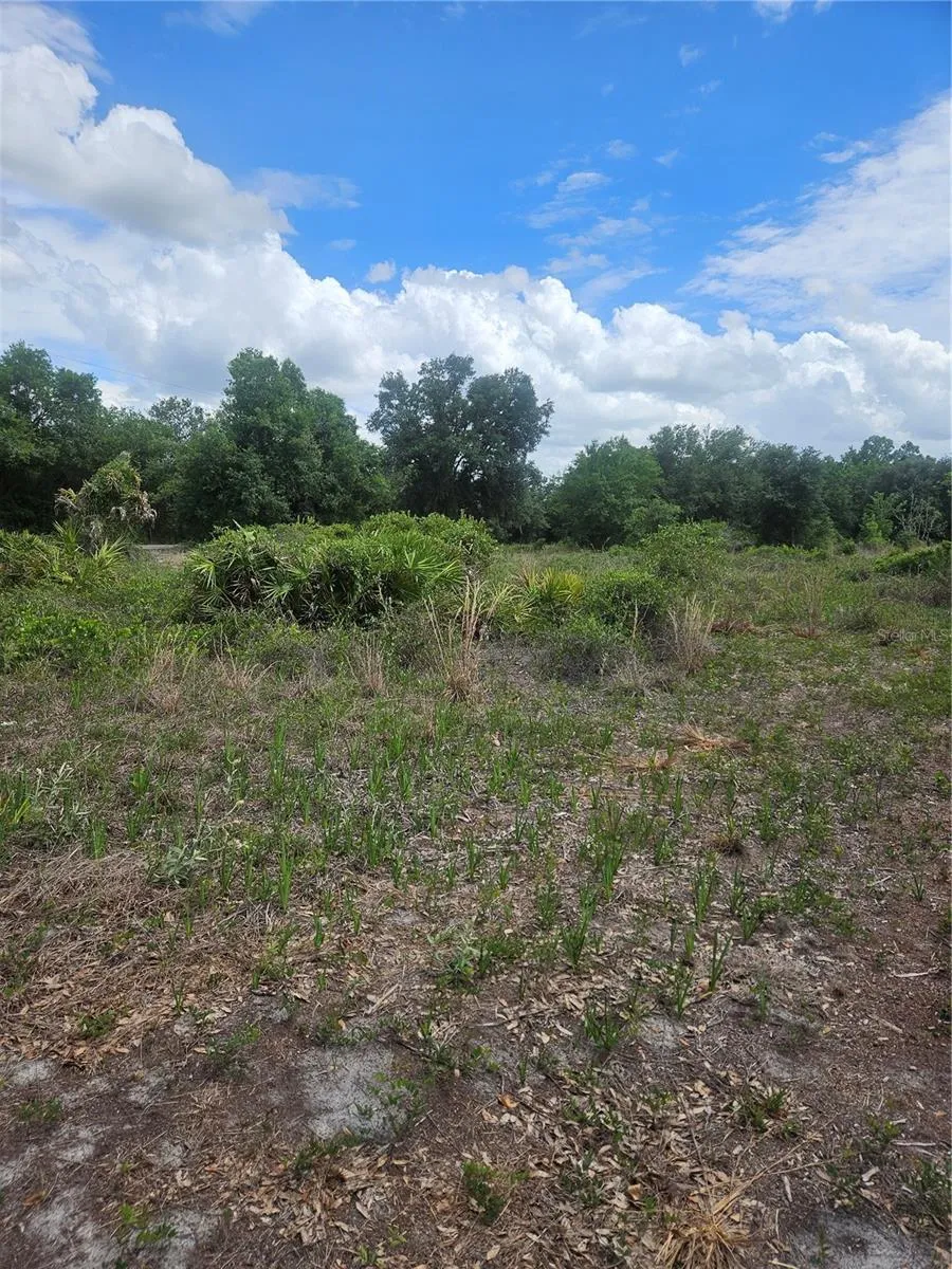 1865 NE CROSS AVENUE Arcadia, FL 34266