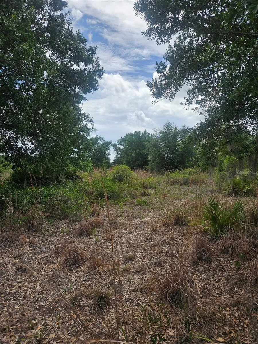 1865 NE CROSS AVENUE Arcadia, FL 34266