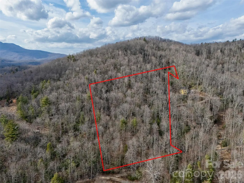 0 Murphy Branch Road Burnsville, NC 28714
