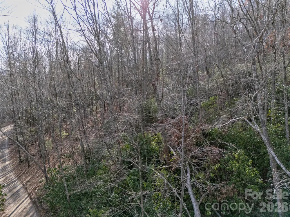 0 Murphy Branch Road Burnsville, NC 28714