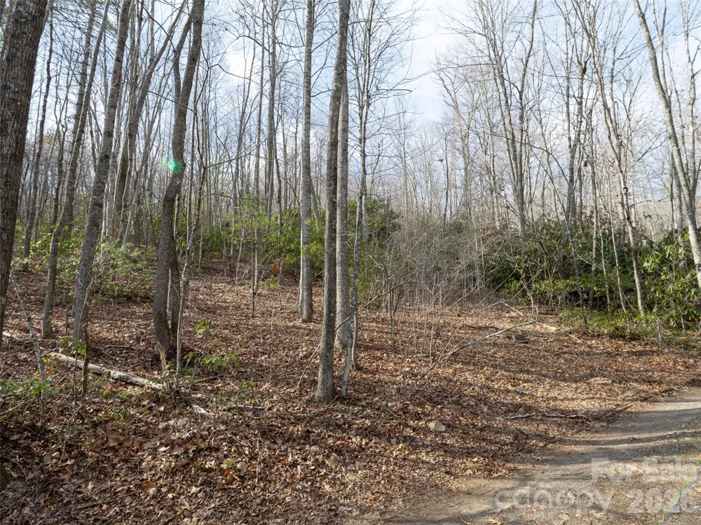 0 Murphy Branch Road Burnsville, NC 28714