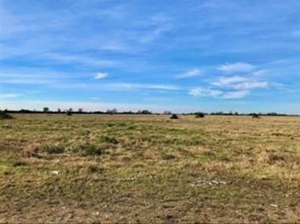 1293 Mc Donald Rd Eagle Lake, TX 77434