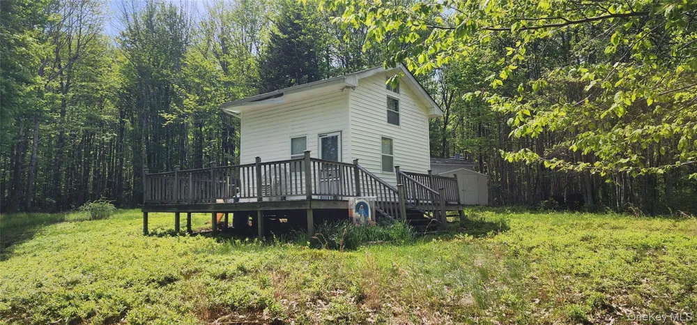 1433 County Route 56 Lane Mountain Dale, NY 12779