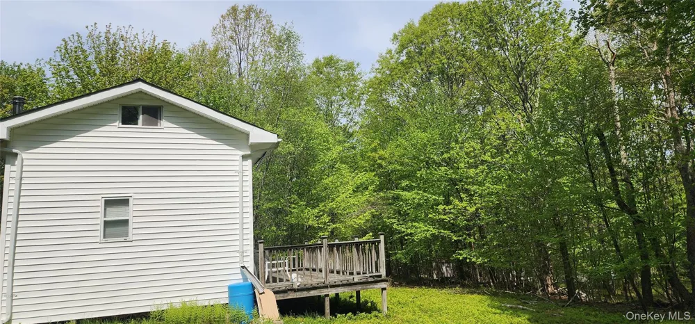 1433 County Route 56 Lane Mountain Dale, NY 12779