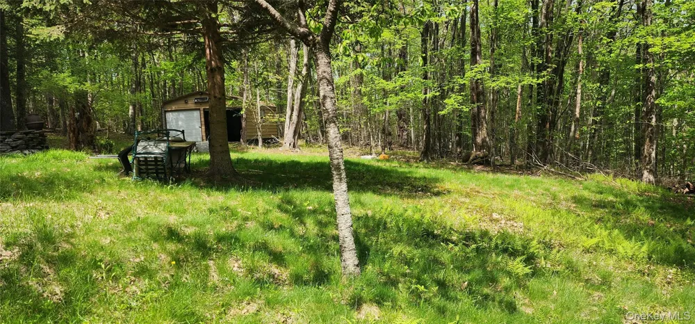 1433 County Route 56 Lane Mountain Dale, NY 12779