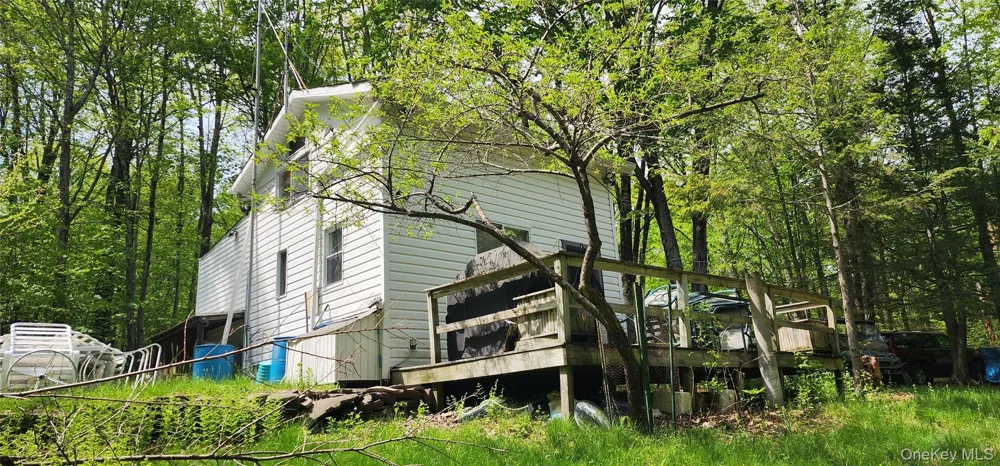 1433 County Route 56 Lane Mountain Dale, NY 12779