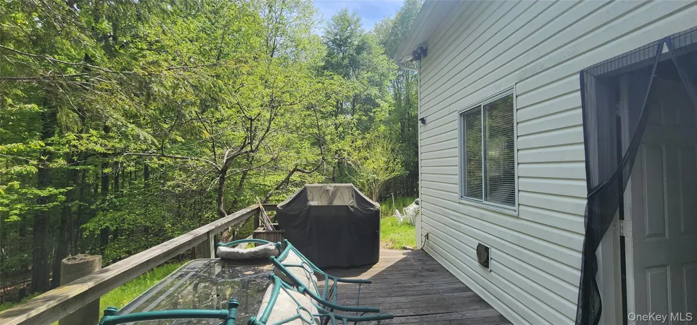 1433 County Route 56 Lane Mountain Dale, NY 12779