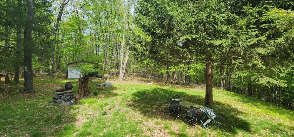 1433 County Route 56 Lane Mountain Dale, NY 12779