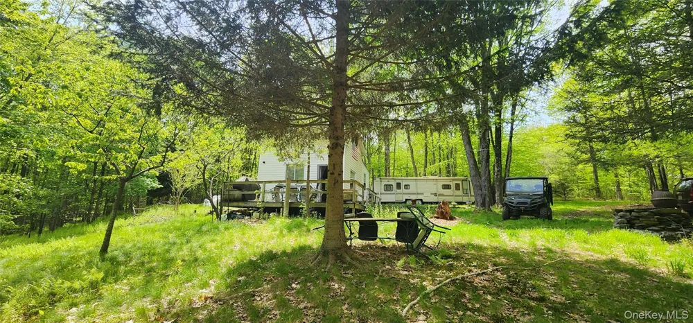 1433 County Route 56 Lane Mountain Dale, NY 12779