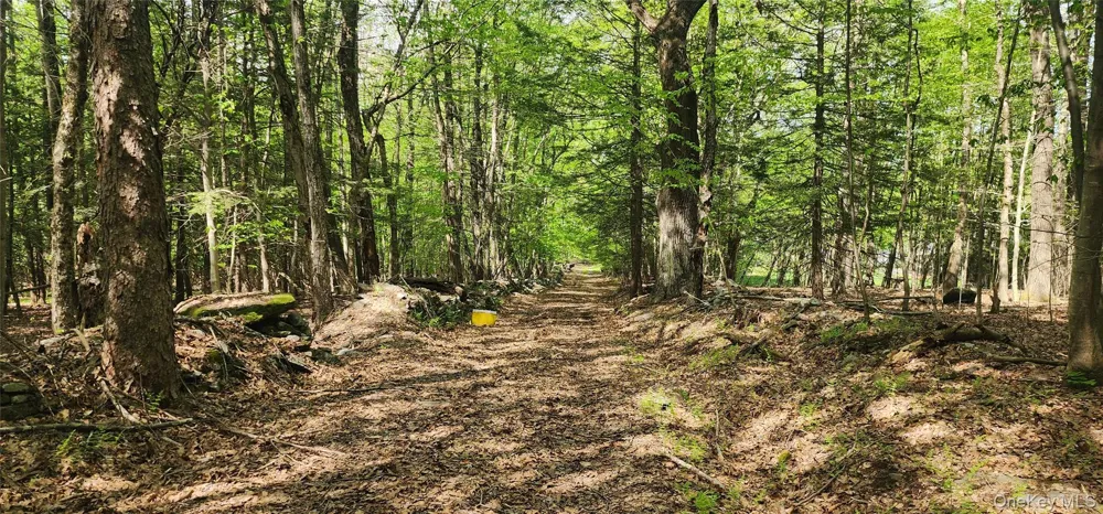1433 County Route 56 Lane Mountain Dale, NY 12779