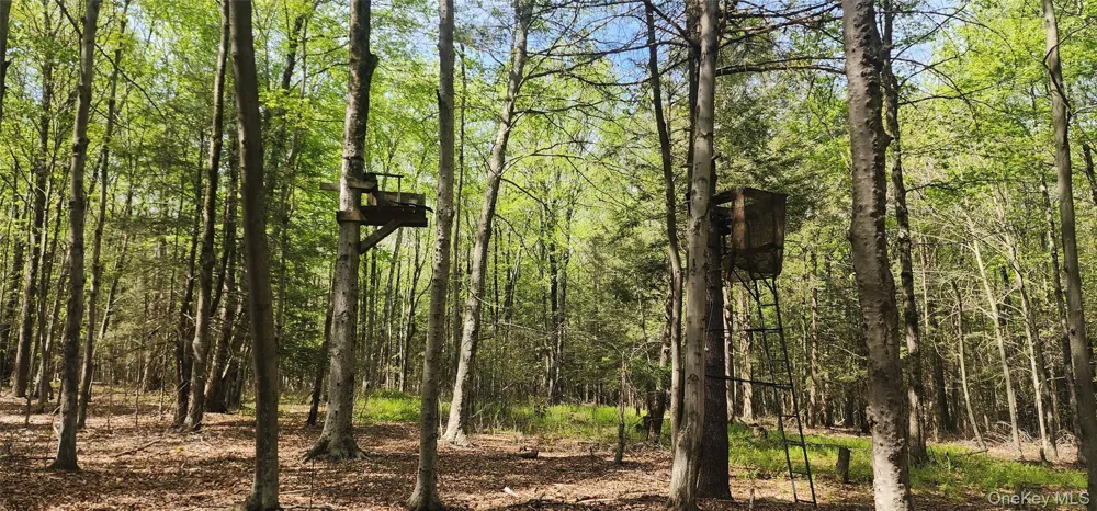 1433 County Route 56 Lane Mountain Dale, NY 12779