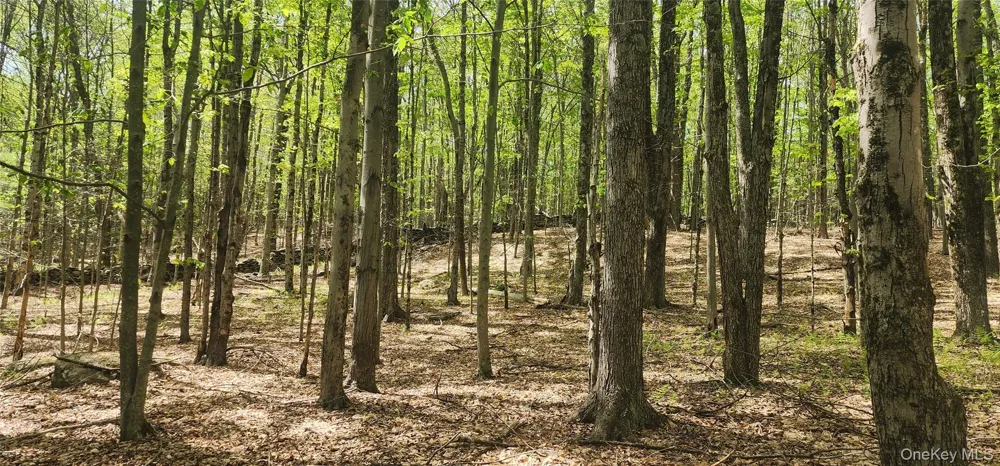 1433 County Route 56 Lane Mountain Dale, NY 12779