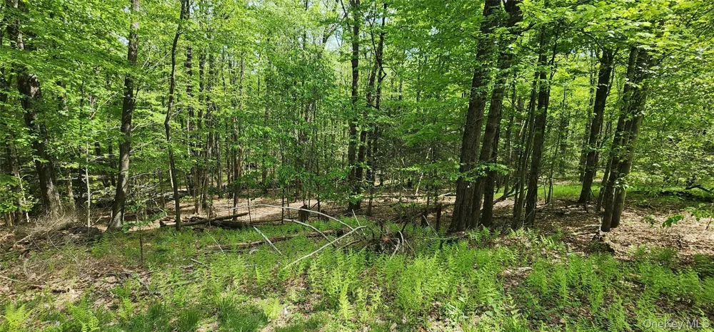1433 County Route 56 Lane Mountain Dale, NY 12779
