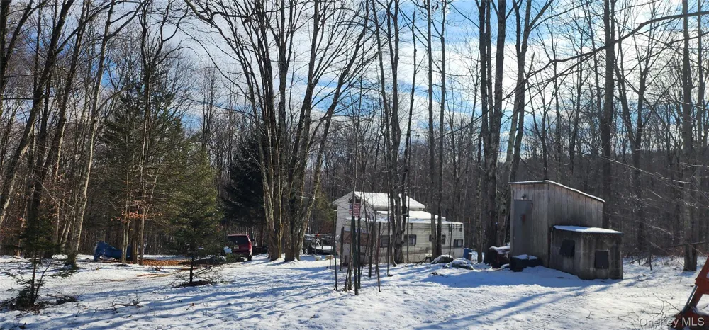 1433 County Route 56 Lane Mountain Dale, NY 12779