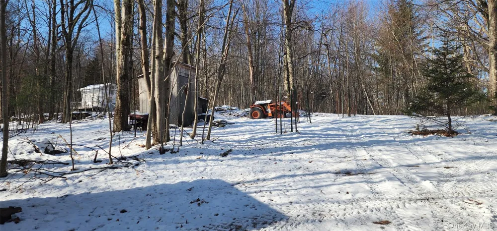 1433 County Route 56 Lane Mountain Dale, NY 12779