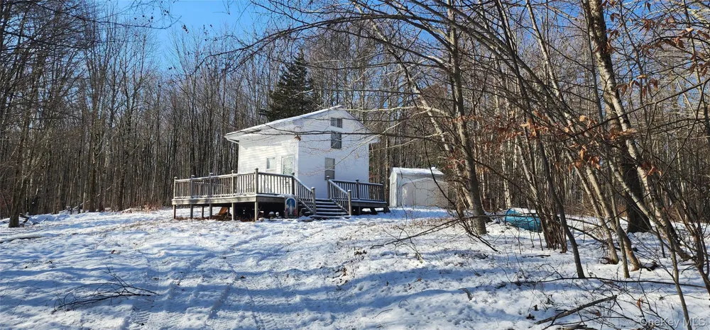 1433 County Route 56 Lane Mountain Dale, NY 12779