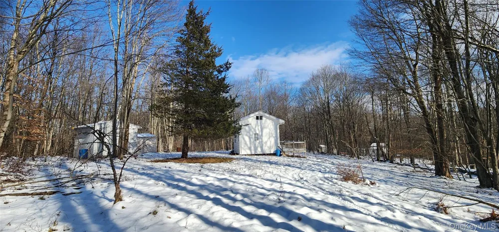 1433 County Route 56 Lane Mountain Dale, NY 12779