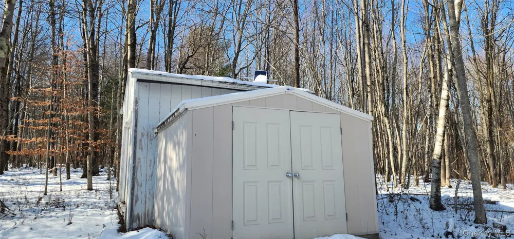 1433 County Route 56 Lane Mountain Dale, NY 12779