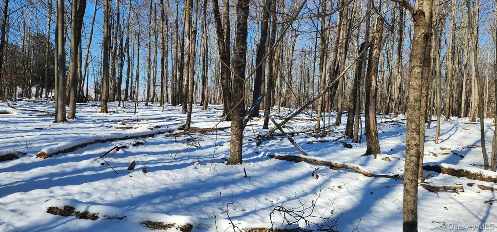 1433 County Route 56 Lane Mountain Dale, NY 12779