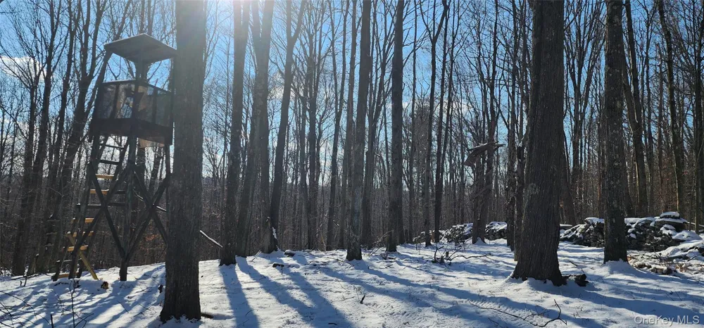 1433 County Route 56 Lane Mountain Dale, NY 12779