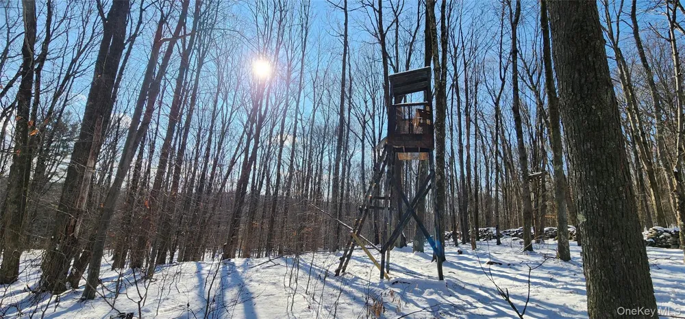 1433 County Route 56 Lane Mountain Dale, NY 12779