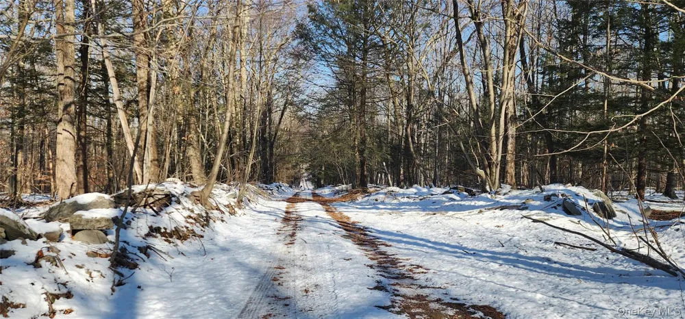 1433 County Route 56 Lane Mountain Dale, NY 12779
