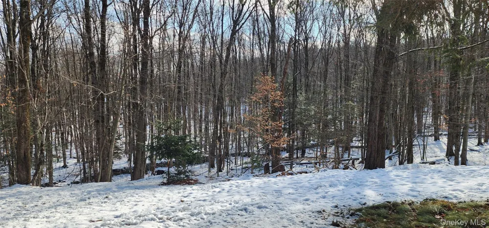1433 County Route 56 Lane Mountain Dale, NY 12779