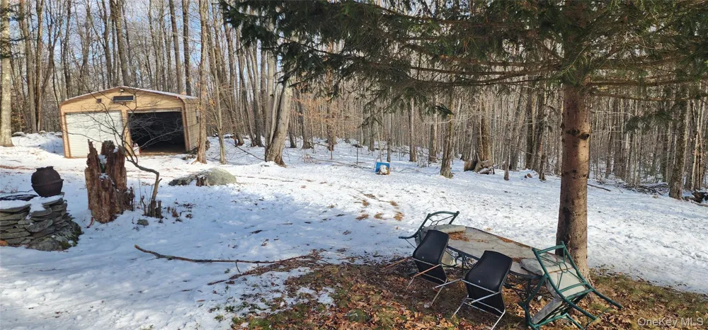 1433 County Route 56 Lane Mountain Dale, NY 12779