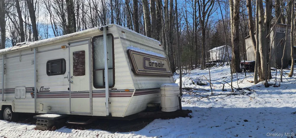 1433 County Route 56 Lane Mountain Dale, NY 12779