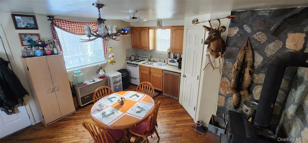 1433 County Route 56 Lane Mountain Dale, NY 12779