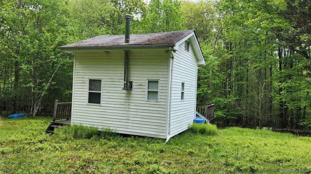 1433 County Route 56 Lane Mountain Dale, NY 12779