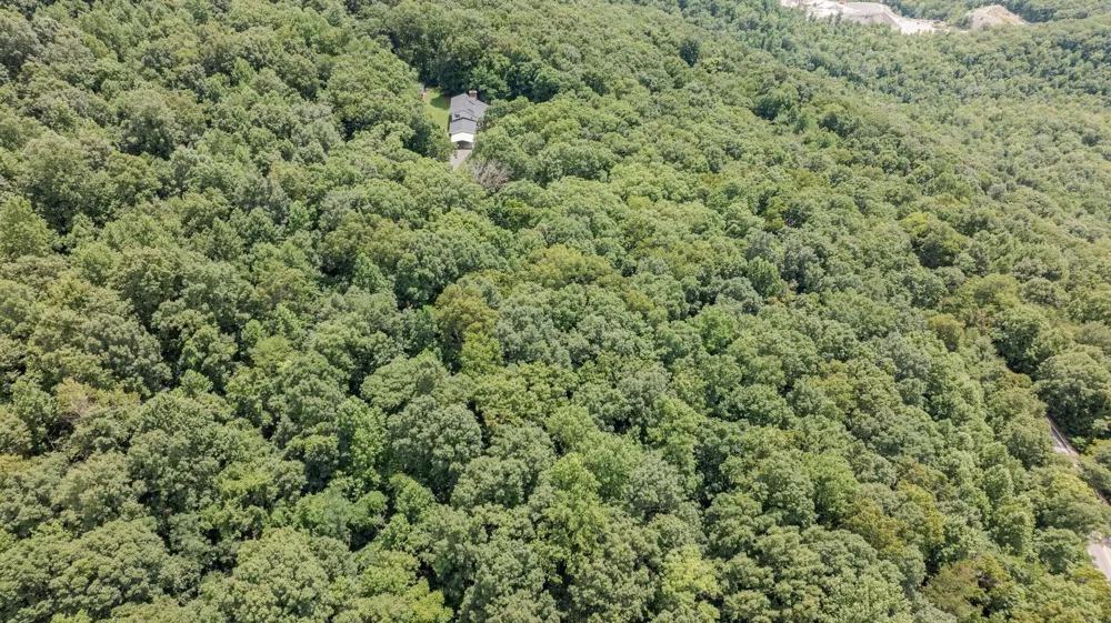 165 Paglen Ridge Drive Pikeville, TN 37367