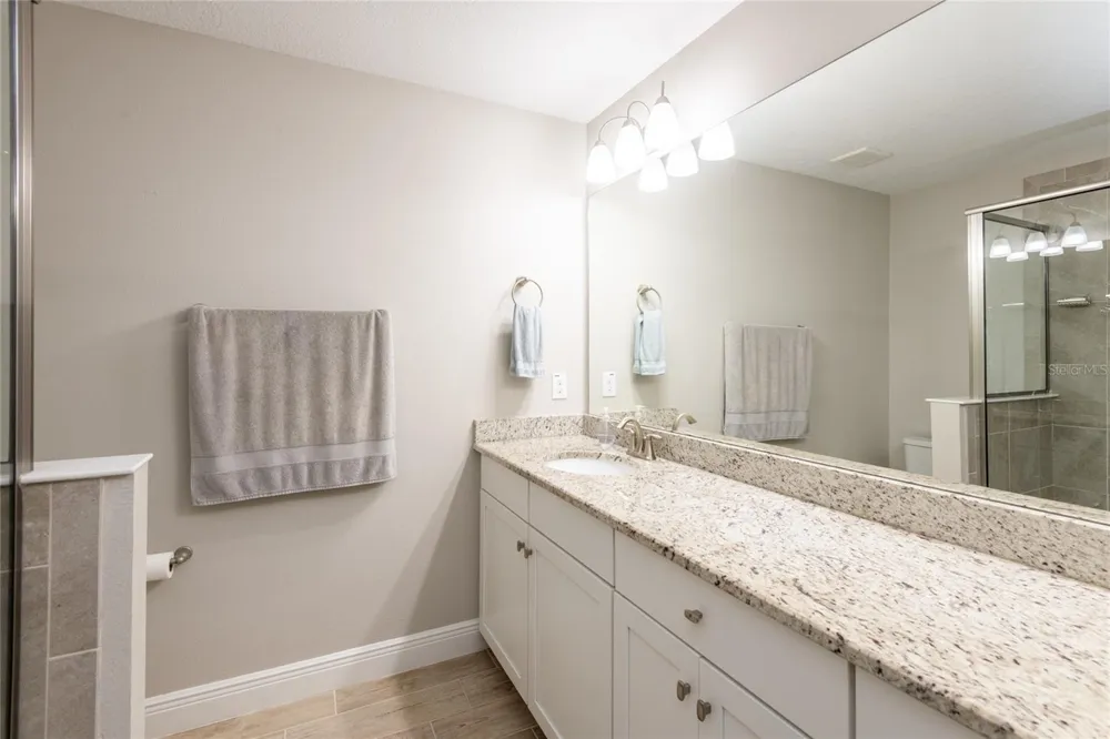17847 ALTHEA BLUE PLACE Lutz, FL 33558