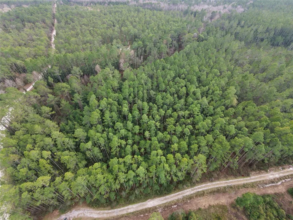 NE NE 130 CT RD Fort Mc Coy, FL 32134