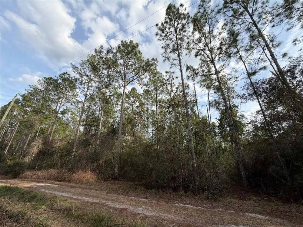 NE NE 130 CT RD Fort Mc Coy, FL 32134