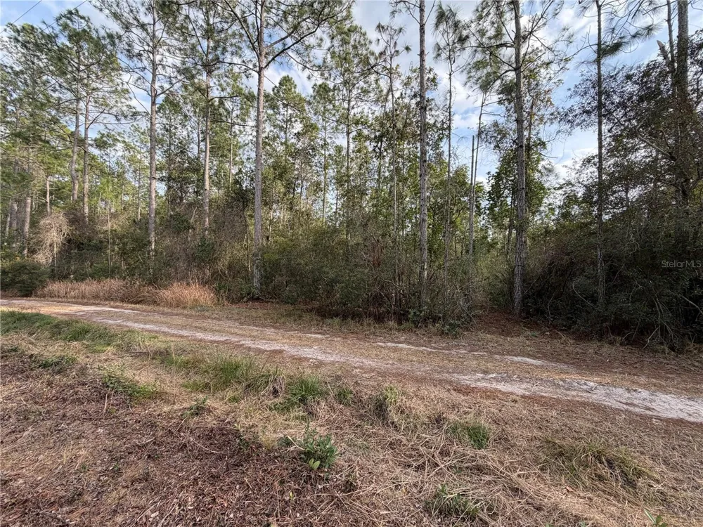 NE NE 130 CT RD Fort Mc Coy, FL 32134